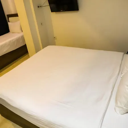 Hotel Mitani
