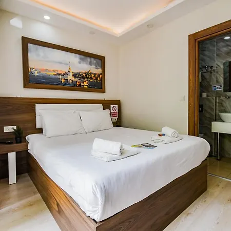 Hotel Mitani *