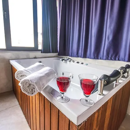 Mitani Hotel *