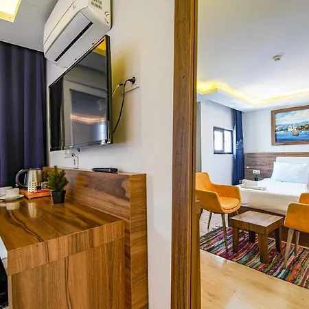 Hotel Mitani *