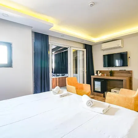 Hotel Mitani *