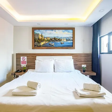 Hotel Mitani *