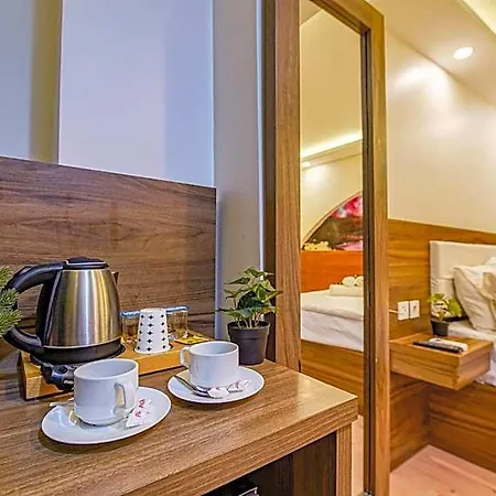 Hotel Mitani