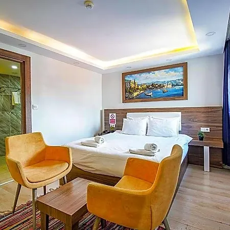 Mitani Istanbul