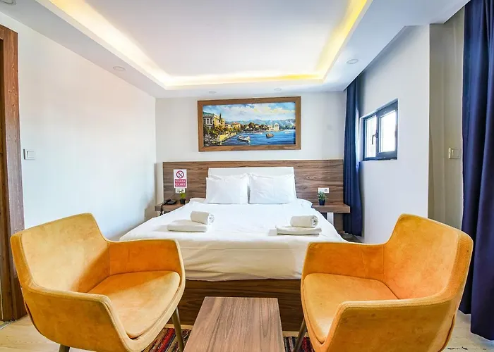 Mitani Hotell Istanbul