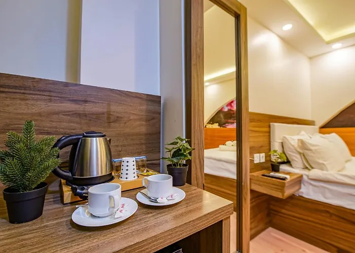 Mitani Стамбул