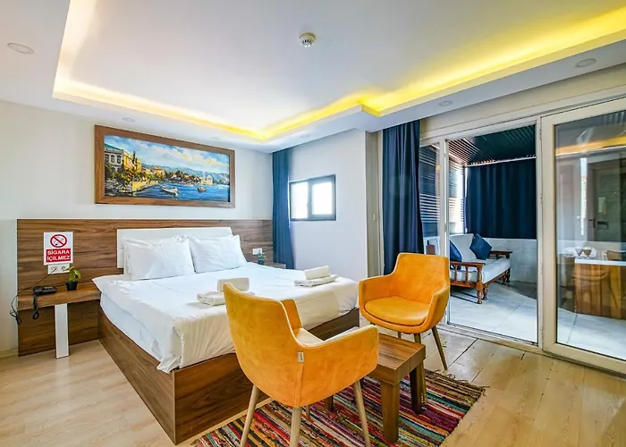 Hotel Mitani Istambul